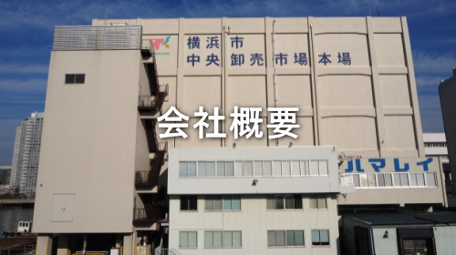 会社概要